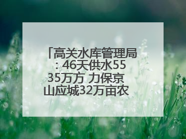 高关水库管理局：46天供水5535万方 力保京山应城32万亩农田“解渴”
