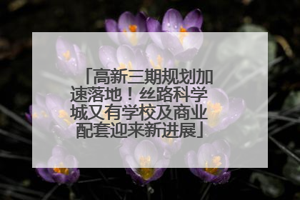 高新三期规划加速落地！丝路科学城又有学校及商业配套迎来新进展