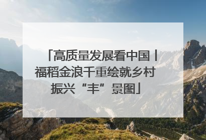 高质量发展看中国丨福稻金浪千重绘就乡村振兴“丰”景图