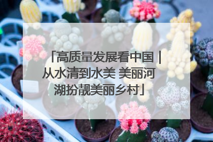 高质量发展看中国｜从水清到水美 美丽河湖扮靓美丽乡村