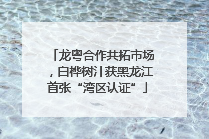 龙粤合作共拓市场，白桦树汁获黑龙江首张“湾区认证”
