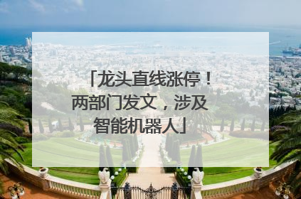龙头直线涨停！两部门发文，涉及智能机器人