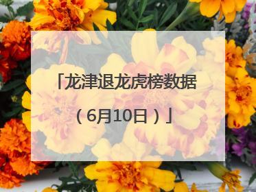 龙津退龙虎榜数据（6月10日）