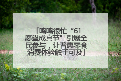 鸣鸣很忙“61 愿望成真节”引爆全民参与，让普惠零食消费体验触手可及