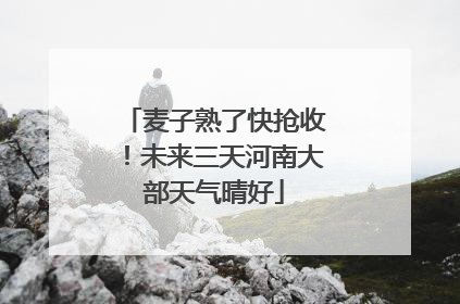 麦子熟了快抢收！未来三天河南大部天气晴好