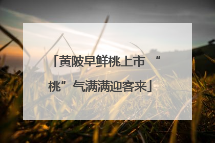 黄陂早鲜桃上市 “桃”气满满迎客来