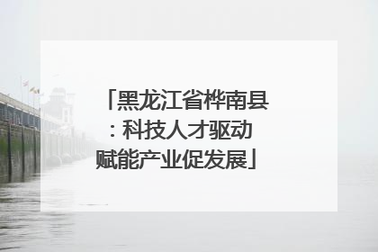 黑龙江省桦南县：科技人才驱动 赋能产业促发展