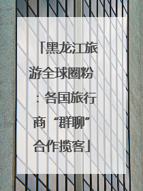 黑龙江旅游全球圈粉：各国旅行商“群聊”合作揽客