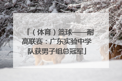 （体育）篮球——耐高联赛：广东实验中学队获男子组总冠军