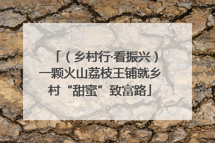 （乡村行·看振兴）一颗火山荔枝王铺就乡村“甜蜜”致富路
