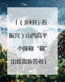 （乡村行·看振兴）山西高平：小辣椒“椒”出致富新答卷
