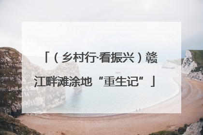 （乡村行·看振兴）赣江畔滩涂地“重生记”