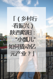 （乡村行·看振兴）陕西略阳：“小瓢儿”如何撬动亿元产业？