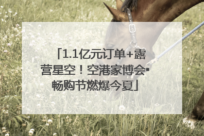 1.1亿元订单+露营星空！空港家博会▪畅购节燃爆今夏