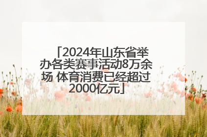 2024年山东省举办各类赛事活动8万余场 体育消费已经超过2000亿元