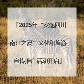 2025年“安逸四川·南江之夏”文化和旅游宣传推广活动开启