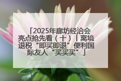 2025年廊坊经洽会亮点抢先看（十）丨离境退税“即买即退”便利国际友人“买买买”