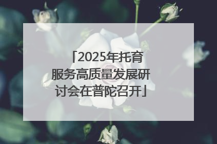2025年托育服务高质量发展研讨会在普陀召开