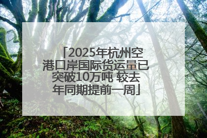 2025年杭州空港口岸国际货运量已突破10万吨 较去年同期提前一周