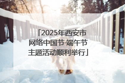 2025年西安市网络中国节·端午节主题活动顺利举行
