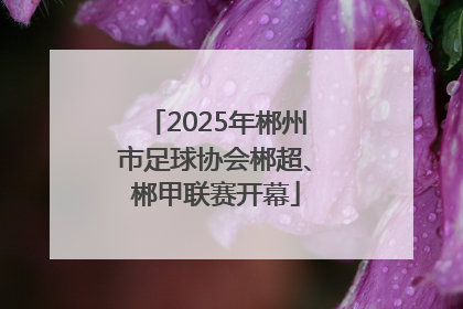 2025年郴州市足球协会郴超、郴甲联赛开幕