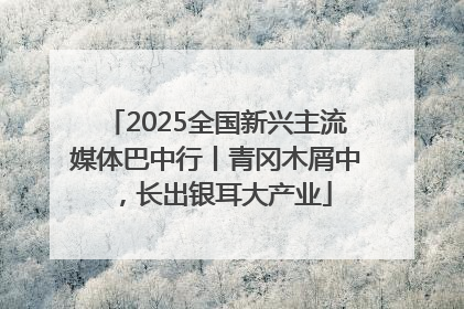 2025全国新兴主流媒体巴中行丨青冈木屑中，长出银耳大产业
