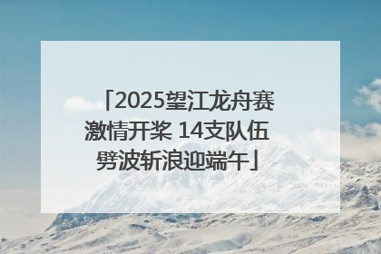 2025望江龙舟赛激情开桨 14支队伍劈波斩浪迎端午