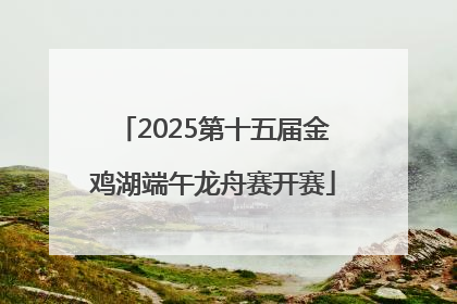 2025第十五届金鸡湖端午龙舟赛开赛