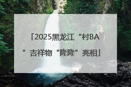 2025黑龙江“村BA”吉祥物“隆隆”亮相