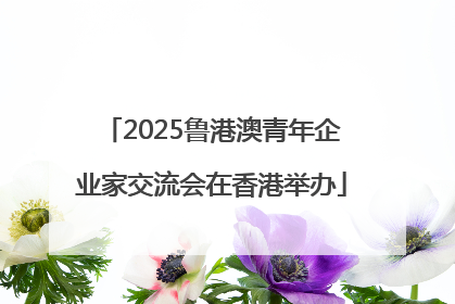 2025鲁港澳青年企业家交流会在香港举办