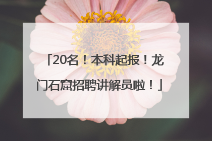 20名！本科起报！龙门石窟招聘讲解员啦！