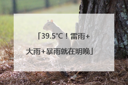 39.5℃！雷雨+大雨+暴雨就在明晚