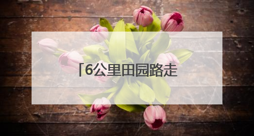 6公里田园路走出备考新状态