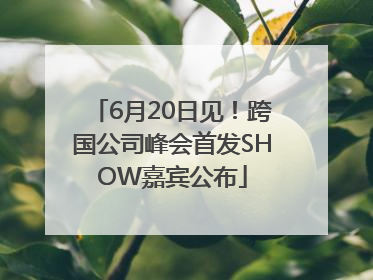 6月20日见！跨国公司峰会首发SHOW嘉宾公布