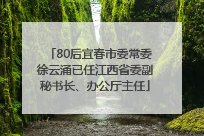 80后宜春市委常委徐云涌已任江西省委副秘书长、办公厅主任