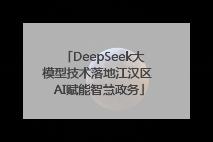DeepSeek大模型技术落地江汉区 AI赋能智慧政务